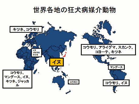 世界各地の狂犬病媒介動物地図