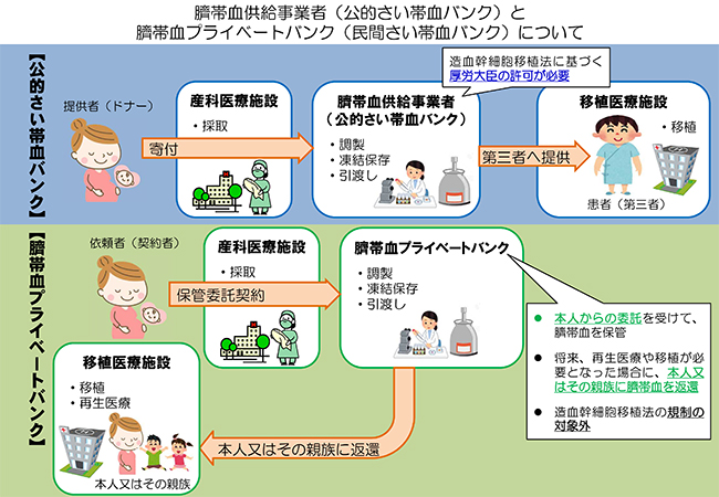 公的さい帯血バンク（公的さい帯血バンク）と臍帯血プライベートバンク（民間さい帯血バンク）の違いについて