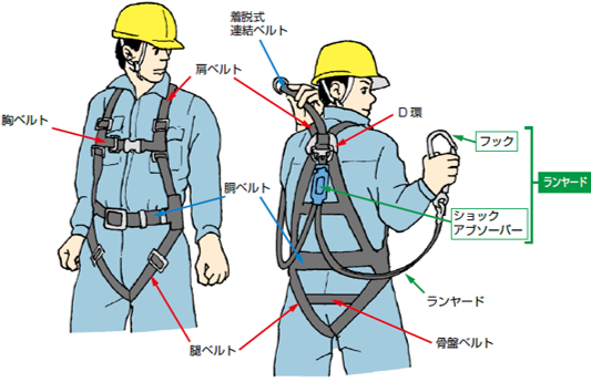 フルハーネス型墜落制止用器具の概念図