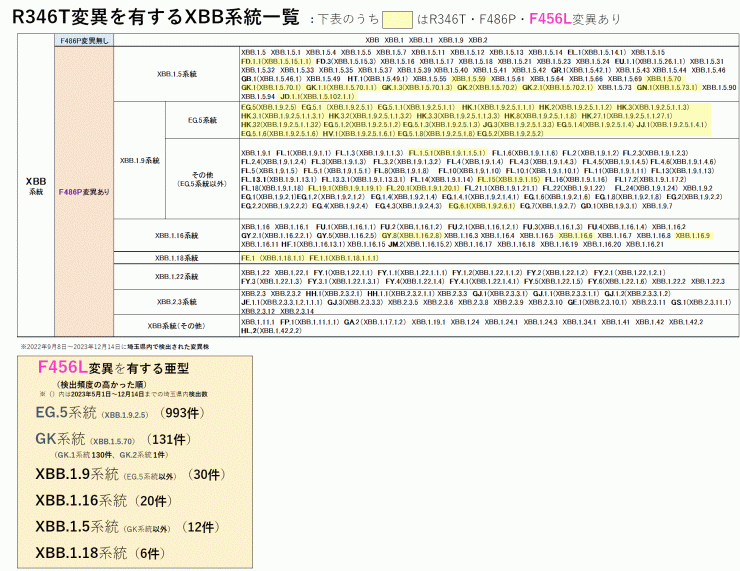 R346T変異を有するXBB系統一覧（F456L変異の有無別）