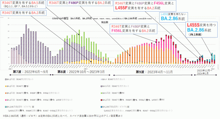 R346T変異とF486P変異とF456L変異とL455F変異に着目したグラフ（2024年2月1日現在）