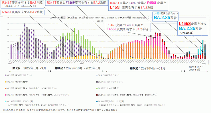 R346T変異とF486P変異とF456L変異とL455F変異に着目したグラフ（2024年2月15日現在）