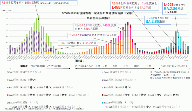 COVID-19新規陽性者定点当たり報告数系統別内訳の推計（2024年3月13日現在）