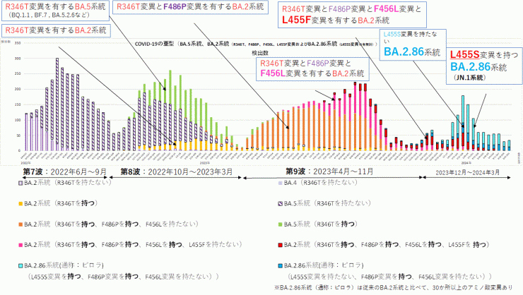 R346T変異とF486P変異とF456L変異とL455F変異に着目したグラフ（2024年4月11日現在）