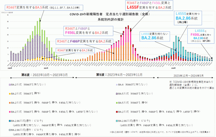 COVID-19新規陽性者定点当たり報告数系統別内訳の推計（2024年5月23日現在）