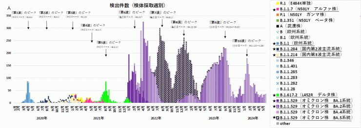 検出ゲノムの推移（2024年6月6日現在）