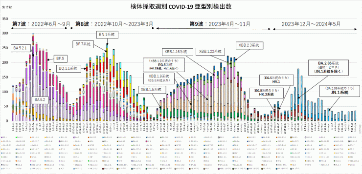 亜型別検出数の推移（2024年6月6日現在）