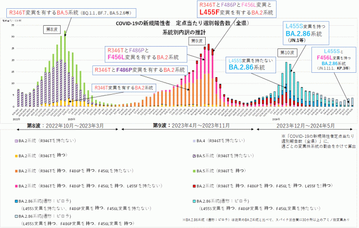 COVID-19新規陽性者定点当たり報告数系統別内訳の推計（2024年6月6日現在）