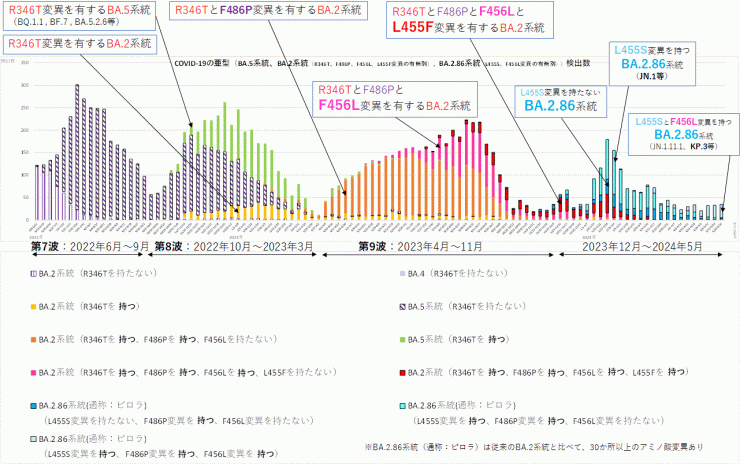 R346T変異とF486P変異とF456L変異とL455F変異に着目したグラフ（2024年6月6日現在）