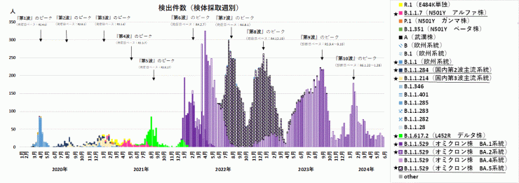 検出ゲノムの推移（2024年6月20日現在）