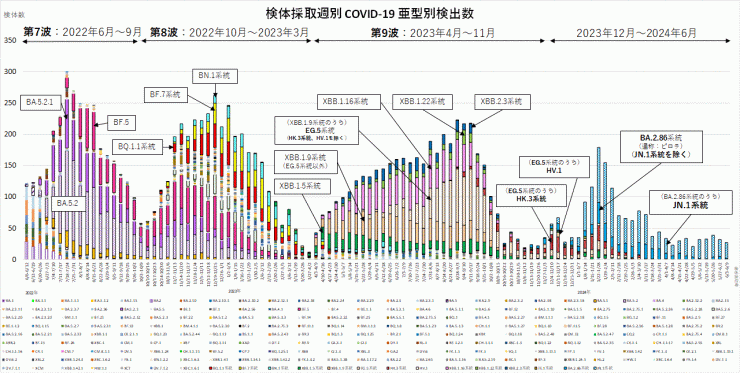 亜型別検出数の推移（2024年6月20日現在）