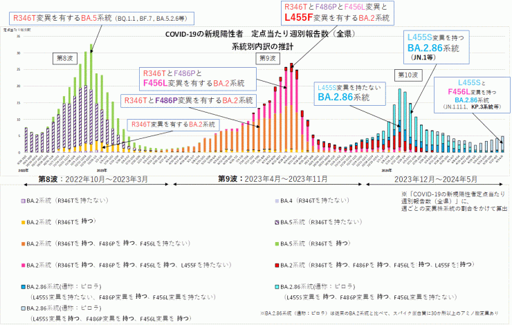 COVID-19新規陽性者定点当たり報告数系統別内訳の推計（2024年6月20日現在）