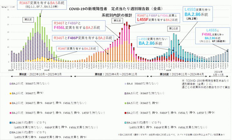 COVID-19新規陽性者定点当たり報告数系統別内訳の推計（2024年7月18日現在）