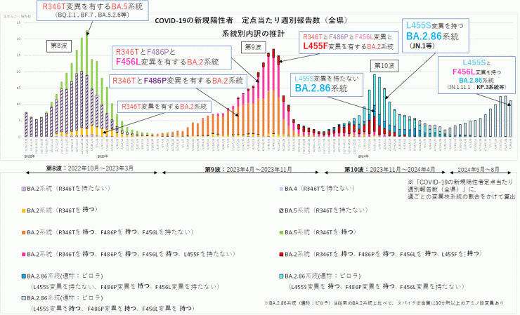 COVID-19新規陽性者定点当たり報告数系統別内訳の推計（2024年8月15日現在）