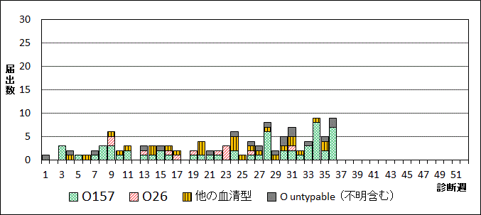 2024年腸管出血性大腸菌週別血清型届出数グラフ