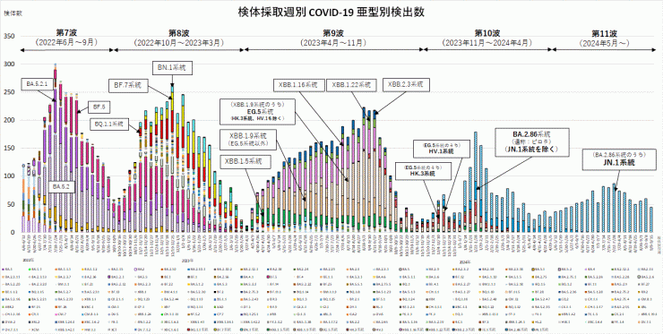 亜型別検出数の推移（2024年9月26日現在）