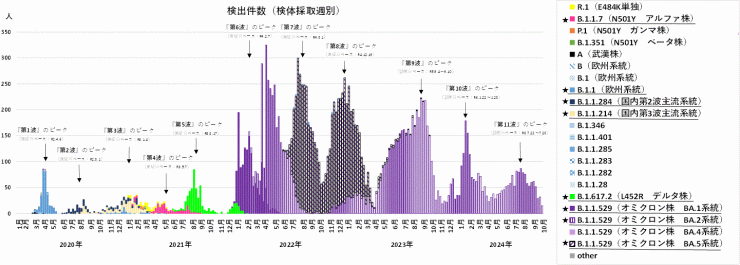 検出ゲノムの推移（2024年10月17日現在）