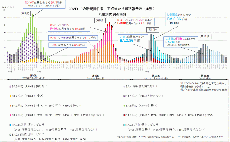 COVID-19新規陽性者定点当たり報告数系統別内訳の推計(2024年10月17日現在)