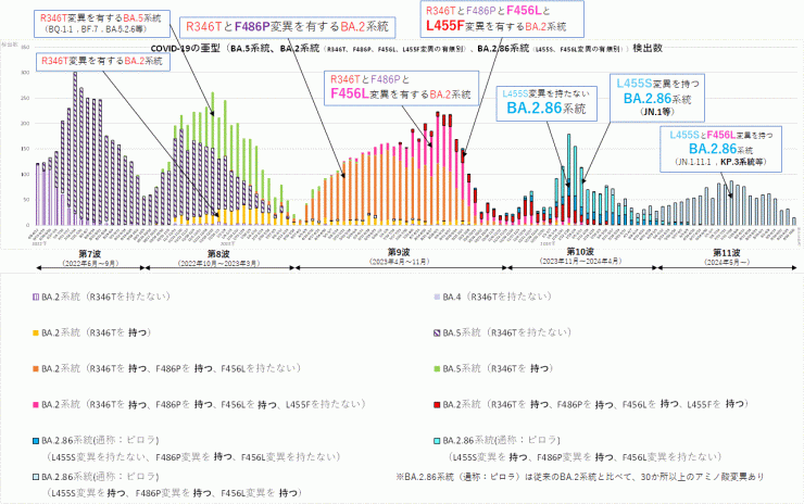 R346T変異とF486P変異とF456L変異とL455F変異に着目したグラフ（2024年10月17日現在）