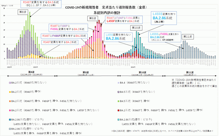 COVID-19新規陽性者定点当たり報告数系統別内訳の推計(2024年11月28日現在)