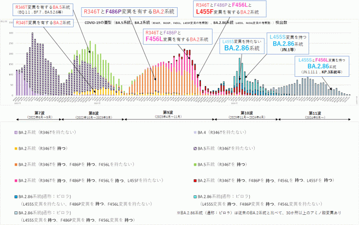 R346T変異とF486P変異とF456L変異とL455F変異に着目したグラフ（2024年11月28日現在）