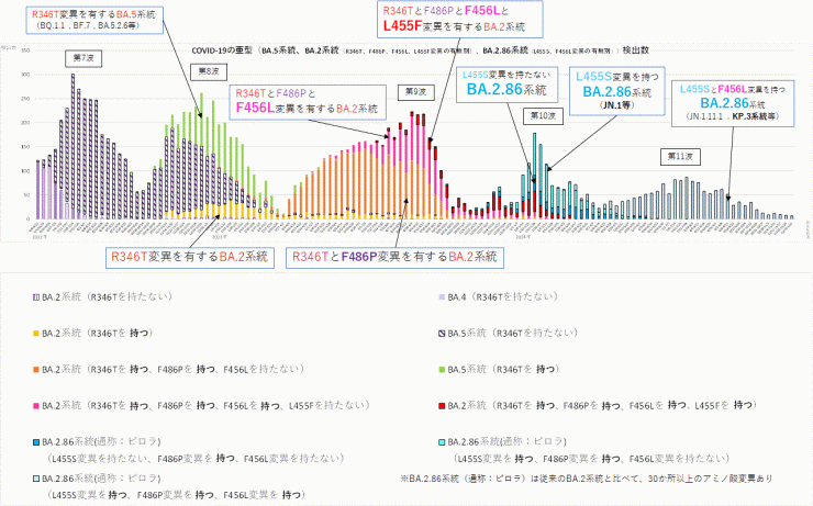 R346T変異とF486P変異とF456L変異とL455F変異に着目したグラフ（2024年12月11日現在）