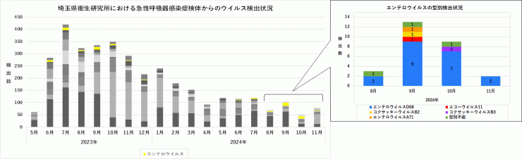 2023年5月～2024年11月におけるエンテロウイルスの検出状況