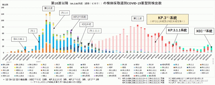 検亜型別検出数の推移（2025年1月9日現在）