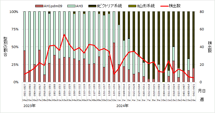 流行期（2023年34週～2024年16週）のインフルエンザウイルスの型別検出割合